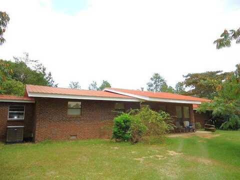 Dog Trot Road, Mauk, GA 31058