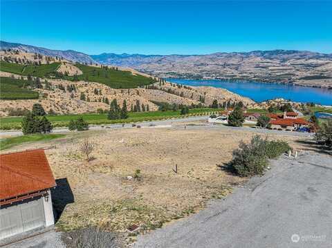 Paintbrush, CHELAN, WA 98816