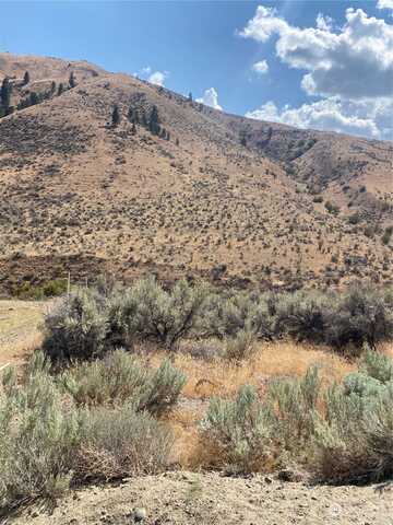 Pitcher Canyon, WENATCHEE, WA 98801