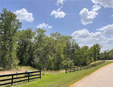 Woodland Farms, CHAPPELL HILL, TX 77426