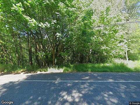 Ne Old Lewis River Road, Woodland, WA 98604