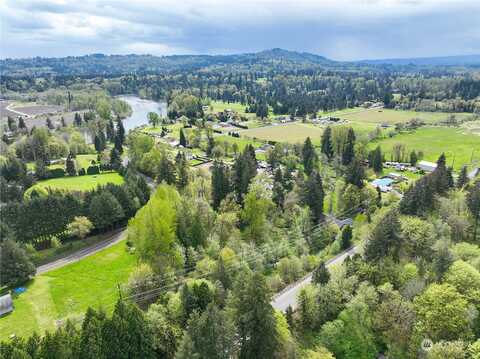 Ne Old Lewis River Road, Woodland, WA 98604