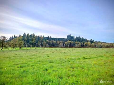 Lincoln Creek Road, Centralia, WA 98579