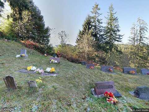 Xx W Deep River Road, Naselle, WA 98638