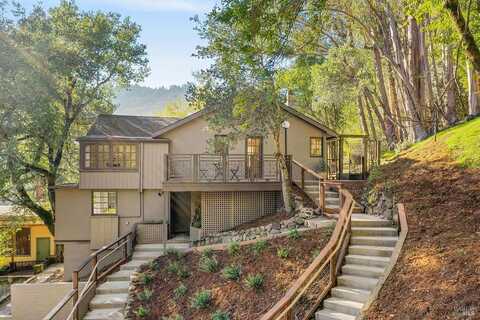 Olive, LARKSPUR, CA 94939