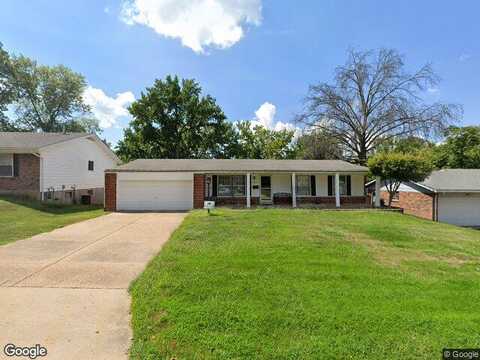 Saddle, FLORISSANT, MO 63033