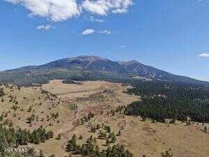 Hart Praire Rd -- -, Flagstaff, AZ 86001