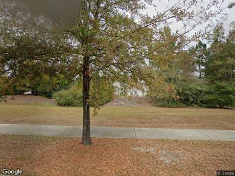 Fairgreen, SAVANNAH, GA 31407