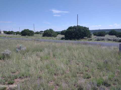 Alpine Lane, Concho, AZ 85924