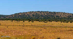 Antelope Valley Ranches Lot 18 37 Acres -- -, Seligman, AZ 86337