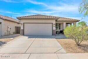 Whitman, ANTHEM, AZ 85086