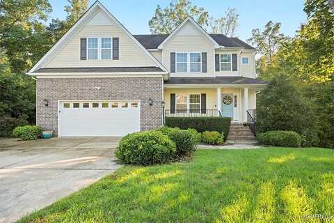 Silver Maple, MOSELEY, VA 23120