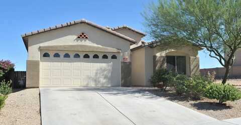 Garden Sage, VAIL, AZ 85641