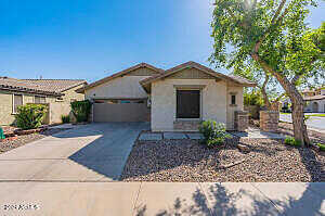 White, CHANDLER, AZ 85249