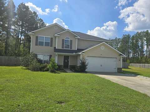 Pine View, LUDOWICI, GA 31316