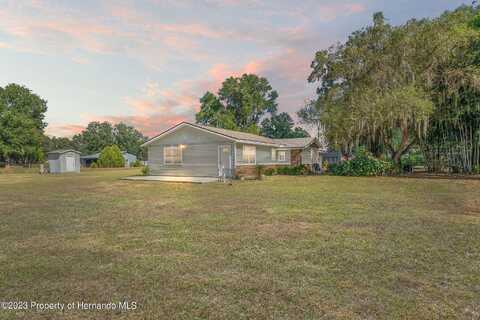 Cr 318, BUSHNELL, FL 33513