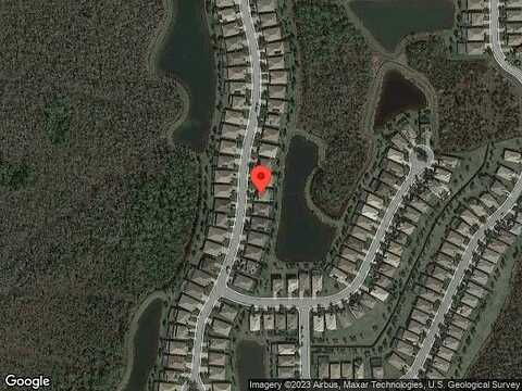 Black Tree, ESTERO, FL 33928