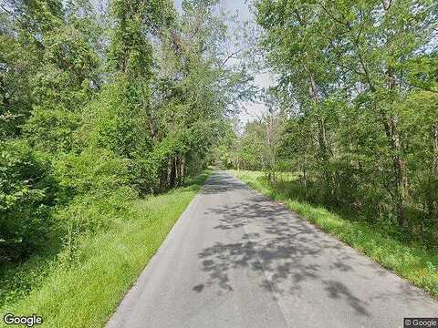 Water Wheel Rd, RIDGEVILLE, SC 29472