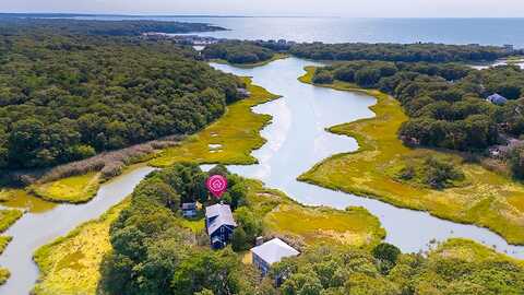 Alder, NORTH FALMOUTH, MA 02556