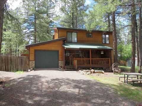 Carefree, PAGOSA SPRINGS, CO 81147