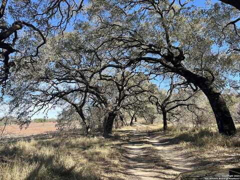 Fm 476, POTEET, TX 78065