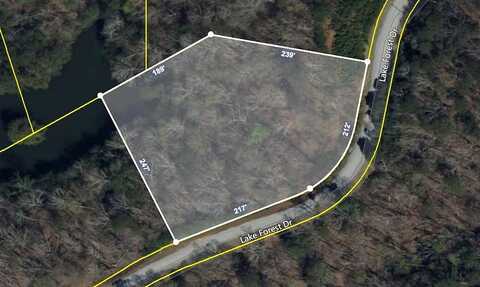 Lake Forest, ELLIJAY, GA 30540