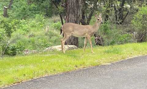 Park, LEANDER, TX 78645