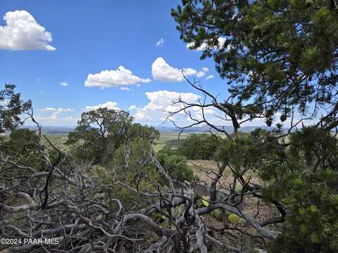 Off Kokopellie Trail, Seligman, AZ 86337