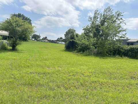 Lot 261 Section Broken Bow, Quitman, TX 75783