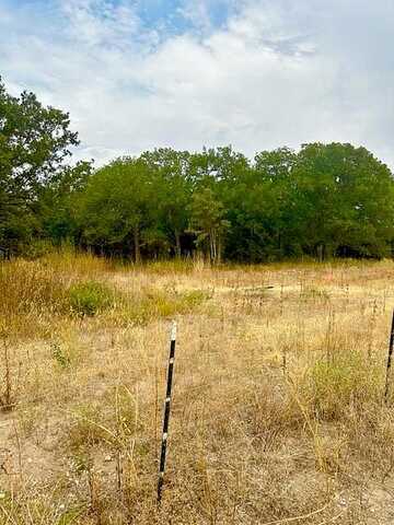 Tract 2 Private Rd 3508, Bridgeport, TX 76426