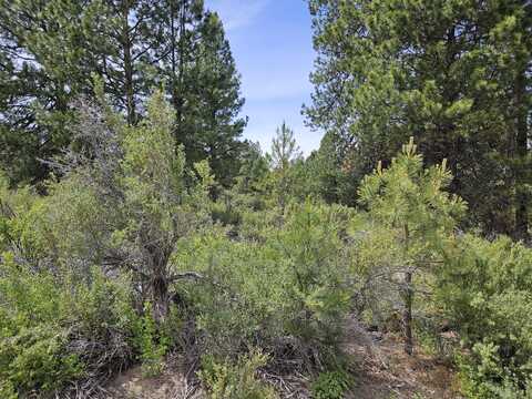 Pine Ridge Loop, Chiloquin, OR 97624