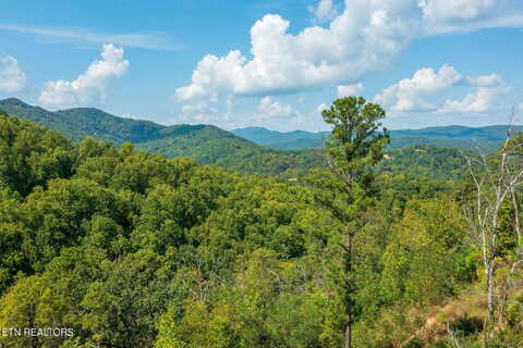 Emerald Springs, Lot 8 Loop, Sevierville, TN 37862