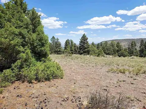 Lot 9 North Rito Hondo Court, Antonito, CO 81120