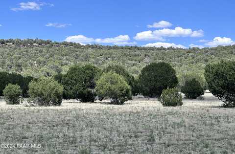 Midnight Sky, Seligman, AZ 86337