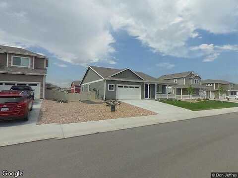 Fig Tree, WELLINGTON, CO 80549