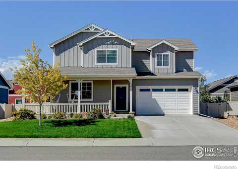 Fig Tree, WELLINGTON, CO 80549