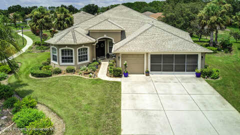 Dahoon, SPRING HILL, FL 34609