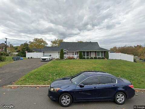 Shellflower, LEVITTOWN, PA 19056