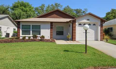 Scotch Pine, NEW PORT RICHEY, FL 34654