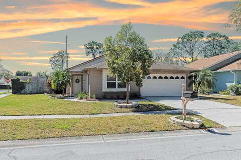 Allenton, BRANDON, FL 33511