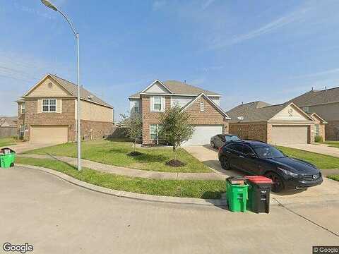 Texas Elm, FRESNO, TX 77545
