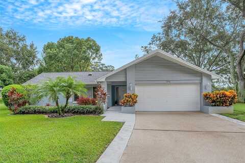 Ayr, PALM HARBOR, FL 34684