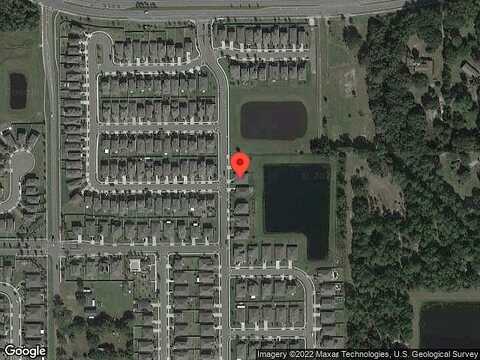 Night Heron, SANFORD, FL 32773