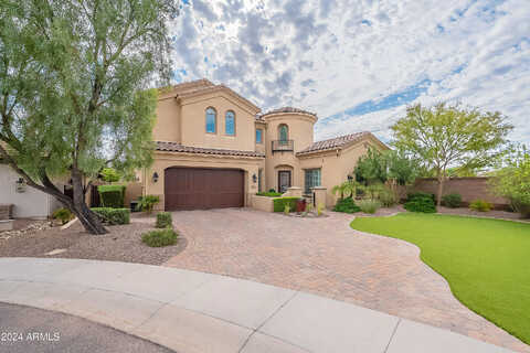 Gold, CHANDLER, AZ 85248