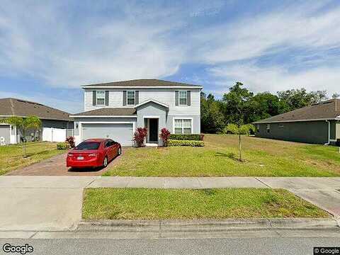 Tigris, APOPKA, FL 32712