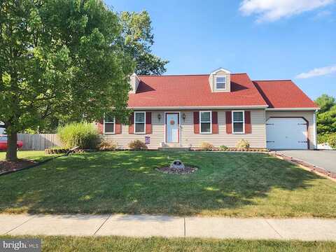 Buckwheat, DENVER, PA 17517