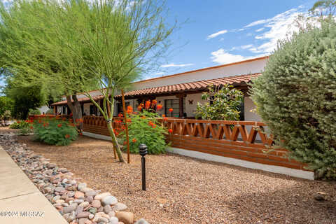 Paseo Pena, GREEN VALLEY, AZ 85614