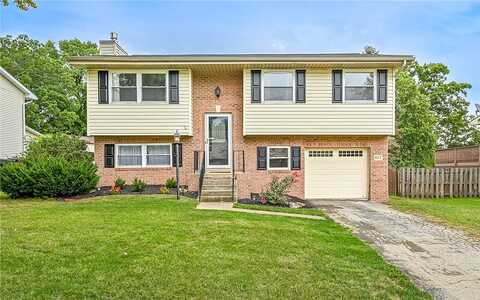 Buttercup, CRANBERRY TOWNSHIP, PA 16066