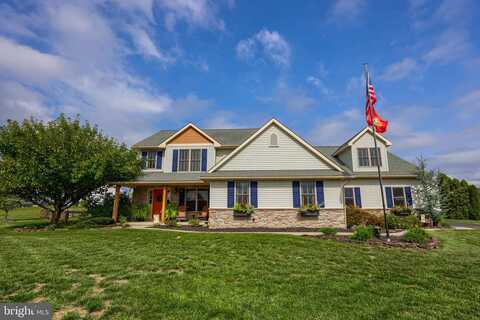 Tree Line, FREDERICKSBURG, PA 17026