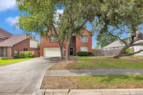 Notch Leaf, CIBOLO, TX 78108